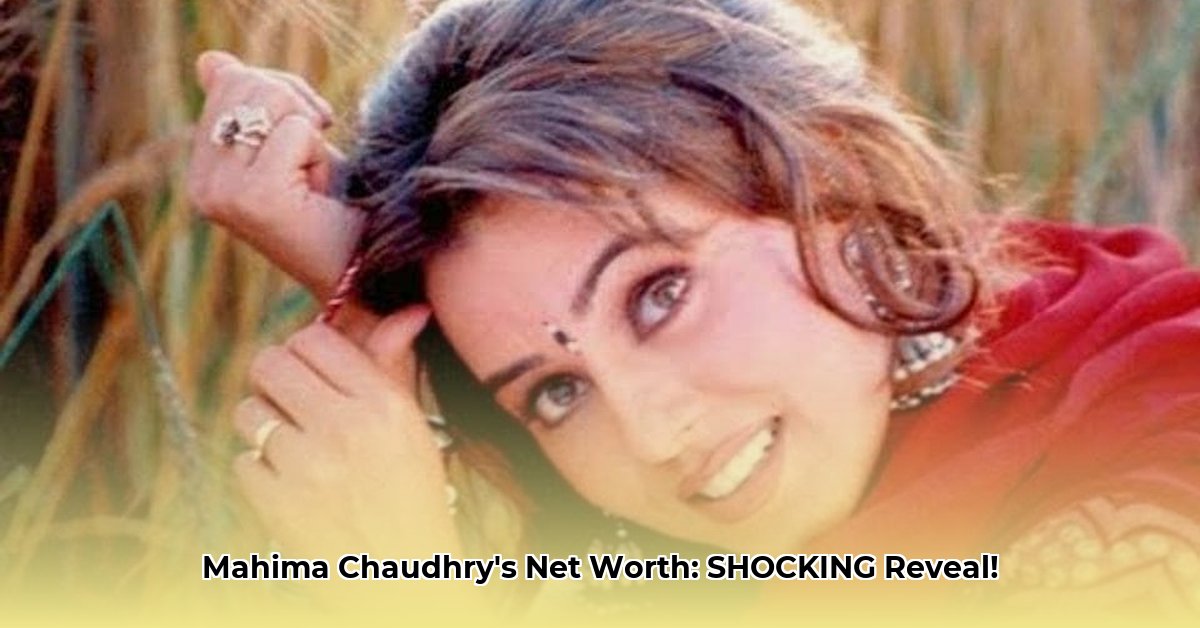 mahima-chaudhry-net-worth